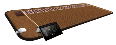 Amethyst Bio-Mat Professional 120V - With Professional Discount